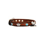 Dog and colorful paw prints and crowns adorned with rhinestones – KD01003/35/20/CW/08