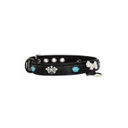 Dog and colorful paw prints and crowns adorned with rhinestones – KD01003/45/20/CW/01
