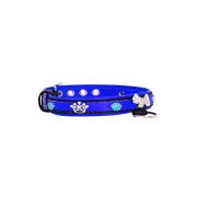 Dog and colorful paw prints and crowns adorned with rhinestones – KD01003/45/20/CW/03