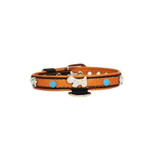 Dog and colorful paw prints and crowns adorned with rhinestones – KD01003/45/20/CW/11
