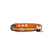 Dog and colorful paw prints and crowns adorned with rhinestones – KD01003/45/20/CW/11