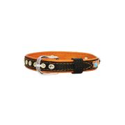 Dog and colorful paw prints and crowns adorned with rhinestones – KD01003/45/20/CW/11