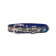 Crown, colorful dog paw print, and horseshoe adorned with rhinestones – KD01005/35/20/SB/03