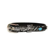 Corona, huella de pata de perro colorida y herradura adornadas con pedrería – KD01005/45/20/SB/01