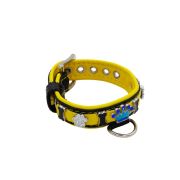 Colorful crown, paw prints, and colorful bones adorned with rhinestones – KD01006/35/20/CW/06