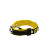 Colorful crown, paw prints, and colorful bones adorned with rhinestones – KD01006/35/20/CW/06