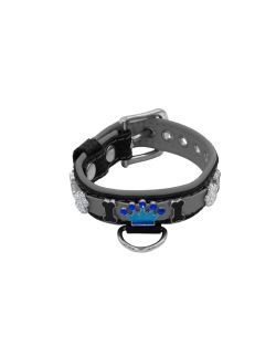 Colorful crown, paw prints, and colorful bones adorned with rhinestones - KD01006/35/20/CW/12