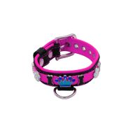Colorful crown, paw prints, and colorful bones adorned with rhinestones – KD01006/35/20/CW/13