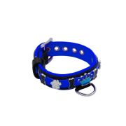Colorful crown, paw prints, and colorful bones adorned with rhinestones – KD01006/40/20/CW/03