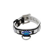 Colorful crown, paw prints, and colorful bones adorned with rhinestones – KD01006/45/20/CW/02