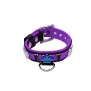 Colorful crown, paw prints, and colorful bones adorned with rhinestones – KD01006/45/20/CW/07