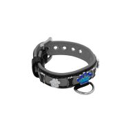 Colorful crown, paw prints, and colorful bones adorned with rhinestones – KD01006/45/20/CW/12