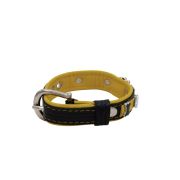 Colorful crown, paw prints, and colorful bones adorned with rhinestones – KD01006/45/20/CW/28