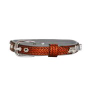 Crown adorned with rhinestones and a dog – French Bulldog with a star decorated with rhinestones – KD01011/35/20/BW/12