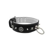Motif with very impressive 10mm metal studs, chain motif, and a carved shield with round rhinestones and leather backing – KD01078/70/50/BK/02