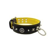 Motif with very impressive 10mm metal studs, chain motif, and a carved shield with round rhinestones and leather backing – KD01078/70/50/BK/06
