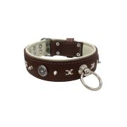 Motif with very impressive 10mm metal studs, chain motif, and a carved shield with round rhinestones and leather backing – KD01078/70/50/BR/09