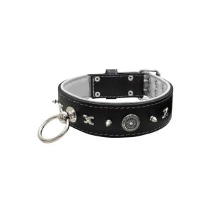 Motif with very impressive 10mm metal studs, chain motif, and a carved shield with round rhinestones and leather backing – KD01078/75/50/BK/02