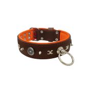 Motif with very impressive 10mm metal studs, chain motif, and a carved shield with round rhinestones and leather backing – KD01078/75/50/BR/11