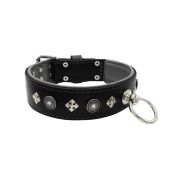 Motif with a very impressive shield featuring round rhinestones, and ornate squares with leather backing – KD01079/75/50/BK/12