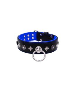 Motif with a very impressive shield featuring round rhinestones, and ornate squares with leather backing - KD01079/80/50/BK/03