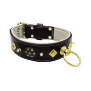 Motif with very impressive 10mm gold metal studs, a shield with 6 round rhinestones, and metal pyramids with leather backing – KD01091/70/50/BK/09