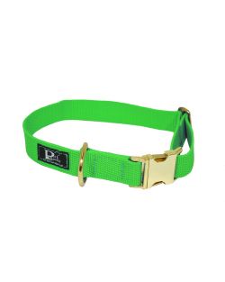Collar de perro de polipropileno - KI01001/35/20/LM/28