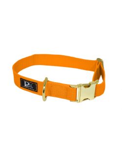 Collar de perro de polipropileno - KI01001/35/20/OR/28