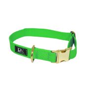 Collar de perro de polipropileno – KI01001/40/25/LM/28