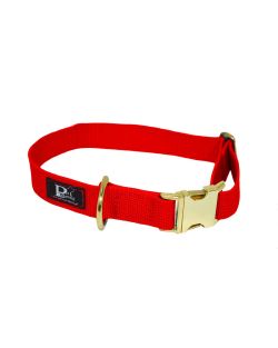 Collar de perro de polipropileno - KI01001/40/25/RD/28