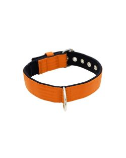 Dog Collar with Polyamide and Neoprene 4cm Width - KI01003/60/40/OR/01