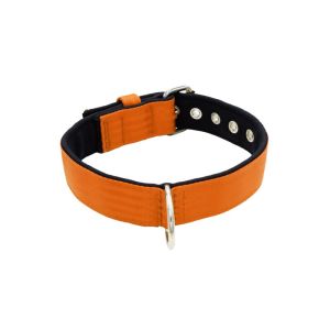 Collar de perro de poliamida y neopreno de 4 cm de ancho – KI01003/60/40/OR/01