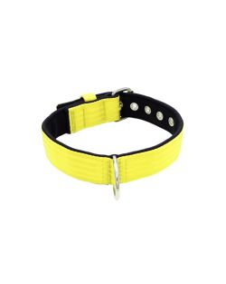 Collar de perro de poliamida y neopreno de 4 cm de ancho - KI01003/60/40/YL/01