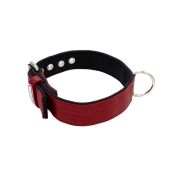 Collar de perro de poliamida y neopreno de 4 cm de ancho – KI01003/65/40/DR/01