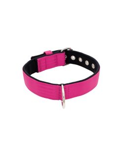 Collar de perro de poliamida y neopreno de 4 cm de ancho - KI01003/65/40/FU/01