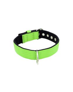 Collar de perro de poliamida y neopreno de 4 cm de ancho - KI01003/65/40/LM/01
