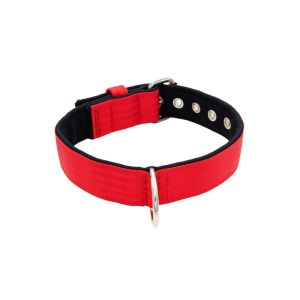 Collar de perro de poliamida y neopreno de 4 cm de ancho – KI01003/65/40/RD/01
