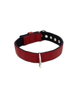 Collar de perro de poliamida y neopreno de 4 cm de ancho - KI01003/75/40/DR/01