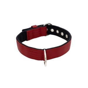Collar de perro de poliamida y neopreno de 4 cm de ancho – KI01003/75/40/DR/01