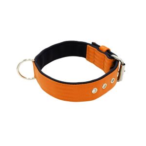 Collar de perro de poliamida y neopreno de 4 cm de ancho – KI01003/75/40/OR/01