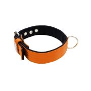 Collar de perro de poliamida y neopreno de 4 cm de ancho – KI01003/75/40/OR/01