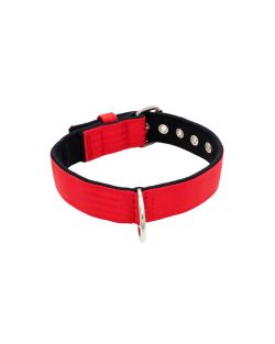 Collar de perro de poliamida y neopreno de 4 cm de ancho - KI01003/75/40/RD/01