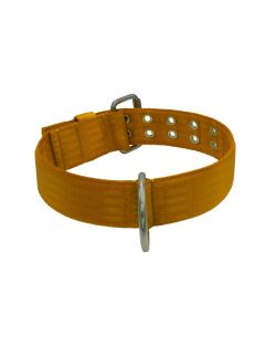 Collar de perro de poliamida con triple cincha, 5 cm - KI01004/65/50/BR/00