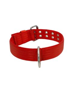 Dog Collar from Polyamide with Triple Strap, 5cm - KI01004/70/50/RD/00