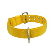 Collar de perro de poliamida con triple cincha, 5 cm – KI01004/70/50/YL/00