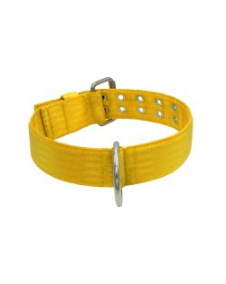 Collar de perro de poliamida con triple cincha, 5 cm - KI01004/70/50/YL/00