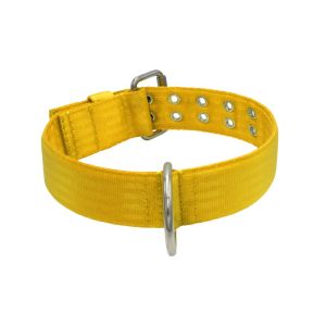 Collar de perro de poliamida con triple cincha, 5 cm – KI01004/70/50/YL/00