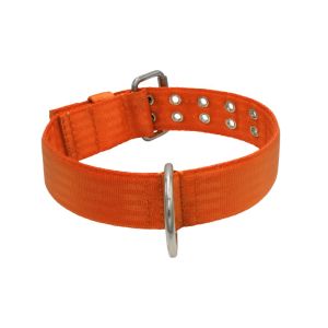 Collar de perro de poliamida con triple cincha, 5 cm – KI01004/75/50/OR/00