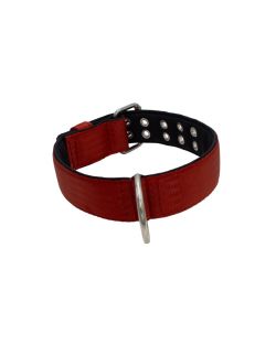 Polyamide Dog Collar with Triple Webbing and 5 cm Neoprene - KI01005/65/50/DR/01