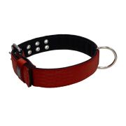 Polyamide Dog Collar with Triple Webbing and 5 cm Neoprene – KI01005/65/50/DR/01